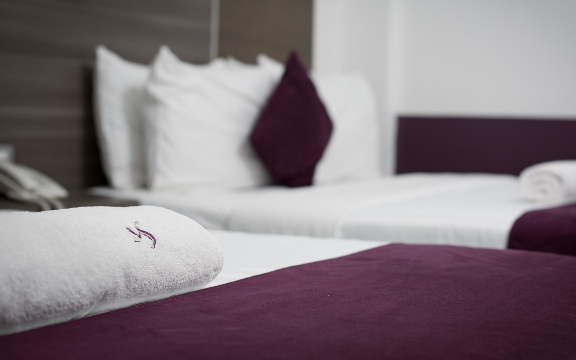 https://www.hotelmsmexico.com/wp-content/uploads/2019/06/King-2.jpg